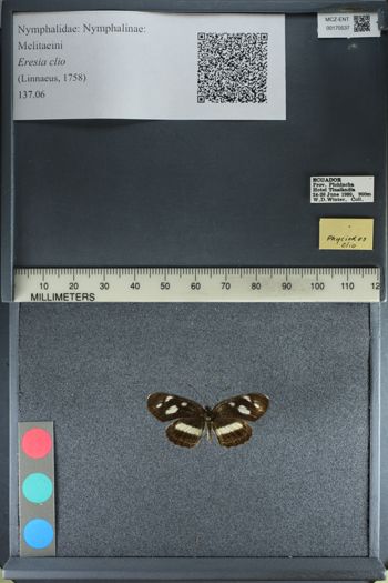 Media type: image;   Entomology 170537